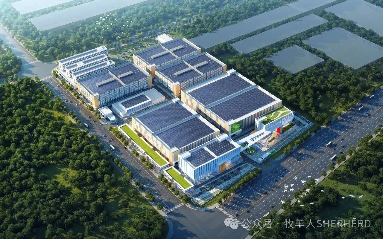 1773128555926756.jpg 005.jpg